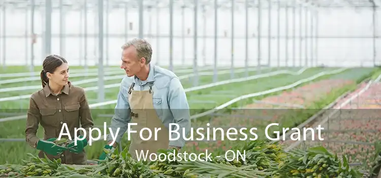 Apply For Business Grant Woodstock - ON